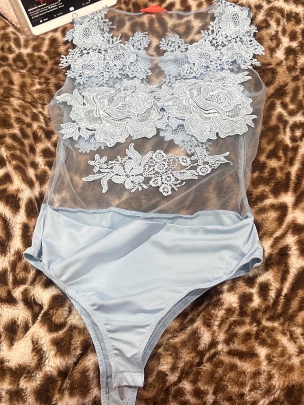 Banjul Pale Blue Sheer Lace Appliqué Teddy Bodysuit